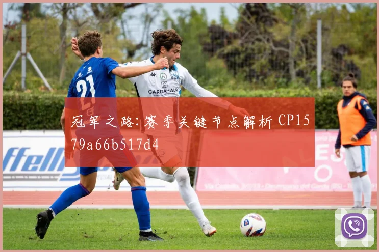 冠军之路:赛季关键节点解析 CP1579a66b517d4